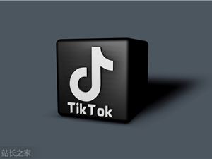 TikTok电商今年上半年GMV已超10亿美元  印尼市场月均GMV达2亿美元